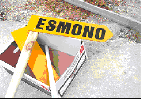 Jahresbericht ESMONO 2014
